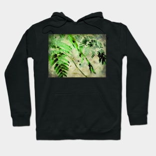 December Fern Hoodie